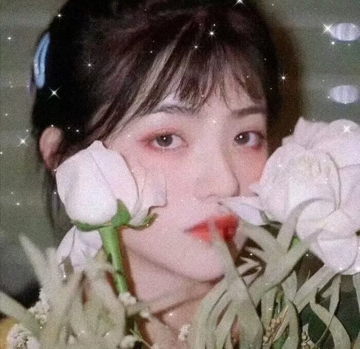 孤独之岛